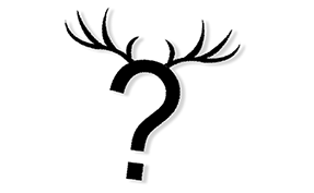 Que tipo de cuckold você é?